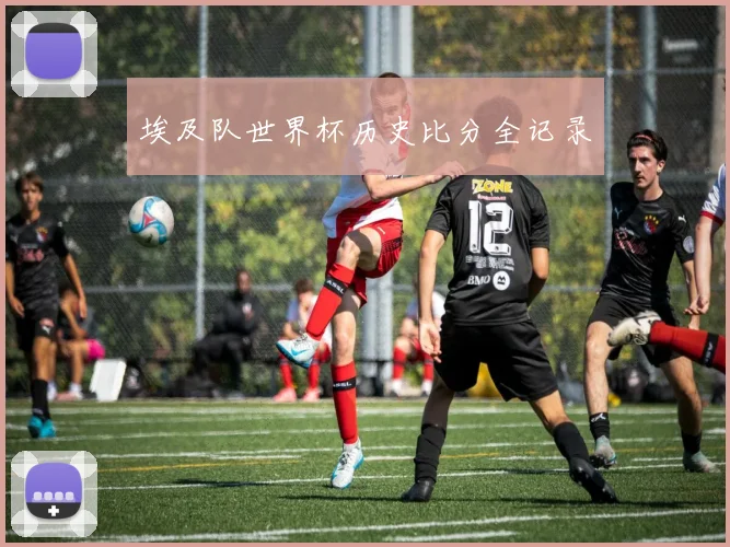 埃及队世界杯历史比分全记录