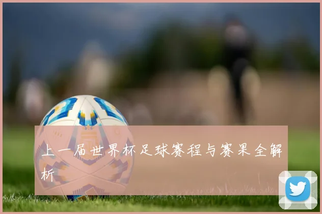 上一届世界杯足球赛程与赛果全解析