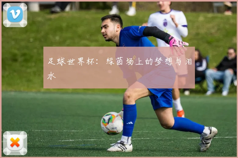 足球世界杯：绿茵场上的梦想与泪水