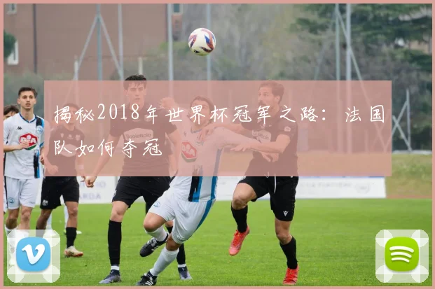 揭秘2018年世界杯冠军之路:法国队如何夺冠