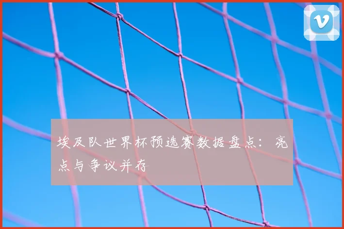 埃及队世界杯预选赛数据盘点：亮点与争议并存