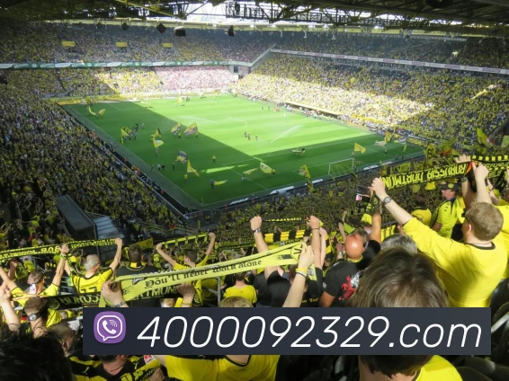 App功能展示图